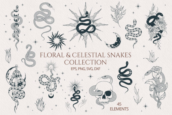 Download Hand Drawn Floral &amp; Celestial Snake Set - Snake Collection