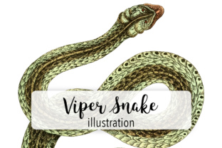 Download Viper Snake Watercolor - Snake Collection